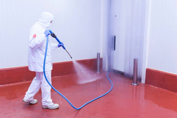 Best Warehouse Cleaning  in Sun Lakes, AZ